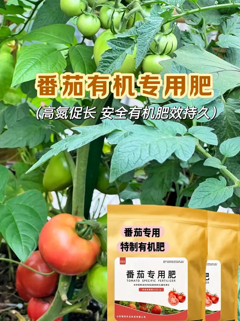 番茄结果期施什么肥好，番茄结果时施什么肥料？-第4张图片-优品飞百科