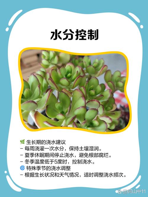 黄金花月怎么养？黄金花月怎么养成老桩？-第2张图片-优品飞百科