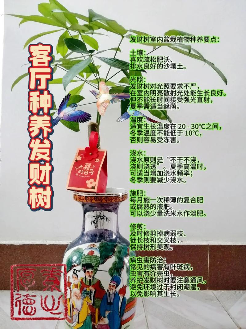 发财树换盆用什么土？发财树换盆用什么土好？-第2张图片-优品飞百科