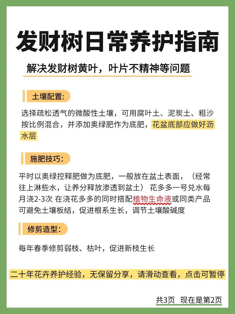 发财树换盆用什么土？发财树换盆用什么土好？-第4张图片-优品飞百科