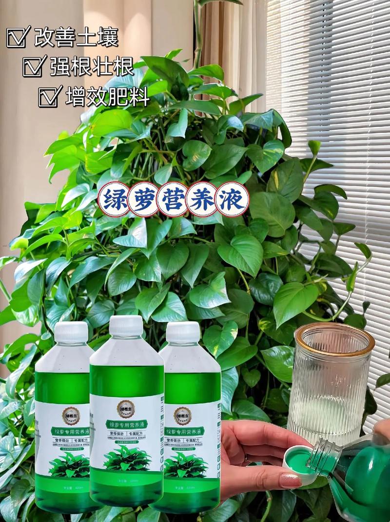 绿萝用什么药长得快，绿萝用什么长的快？