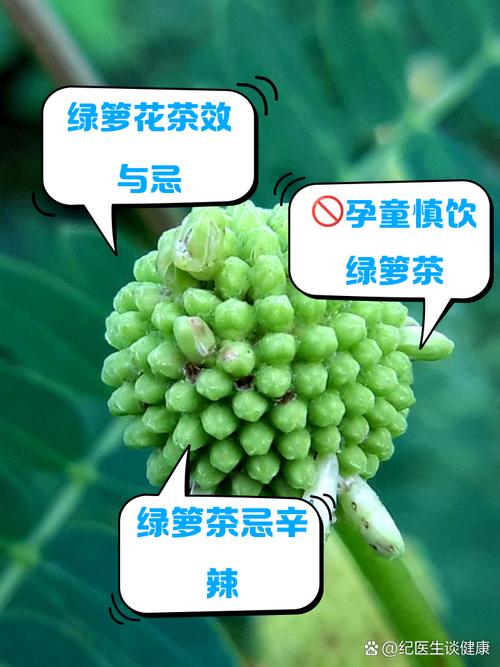 绿萝用什么药长得快，绿萝用什么长的快？-第5张图片-优品飞百科