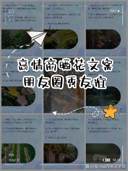 养花儿就像养孩子，养孩子像养花一样,有的开花早？-第2张图片-优品飞百科