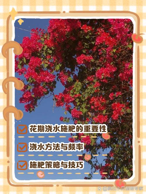 花施肥后能浇水吗,花施肥后能浇水吗怎么浇?-第5张图片-优品飞百科 花施肥后能浇水吗,花施肥后能浇水吗怎么浇?-第5张图片-优品飞百科