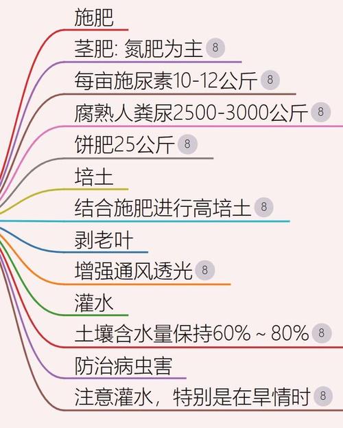 甘蔗怎么种植，甘蔗怎么种植的又高又好视频-第5张图片-优品飞百科