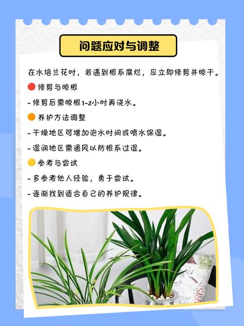 兰花怎么养才能旺盛,兰花怎么养才能旺盛容易开花?-第4张图片-优品飞百科 兰花怎么养才能旺盛,兰花怎么养才能旺盛容易开花?-第4张图片-优品飞百科