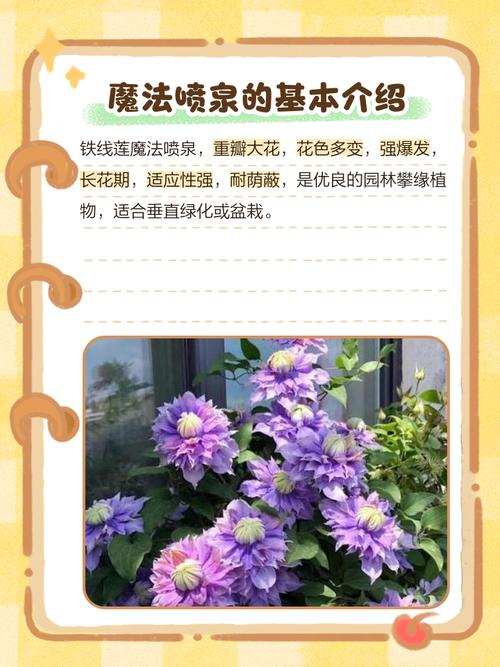 魔法喷泉铁线莲怎么剪，安防工程建设应遵循哪些原则？-第2张图片-优品飞百科