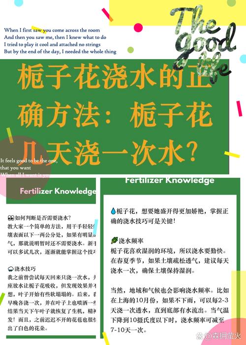栀子花几天浇一次水？君子兰多长时间浇水一次？-第6张图片-优品飞百科