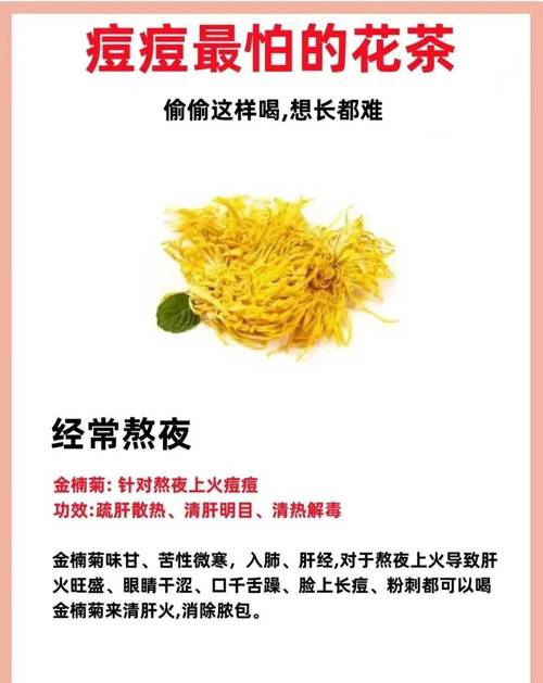 黄金菊如何养，黄金菊怎么养护？-第5张图片-优品飞百科