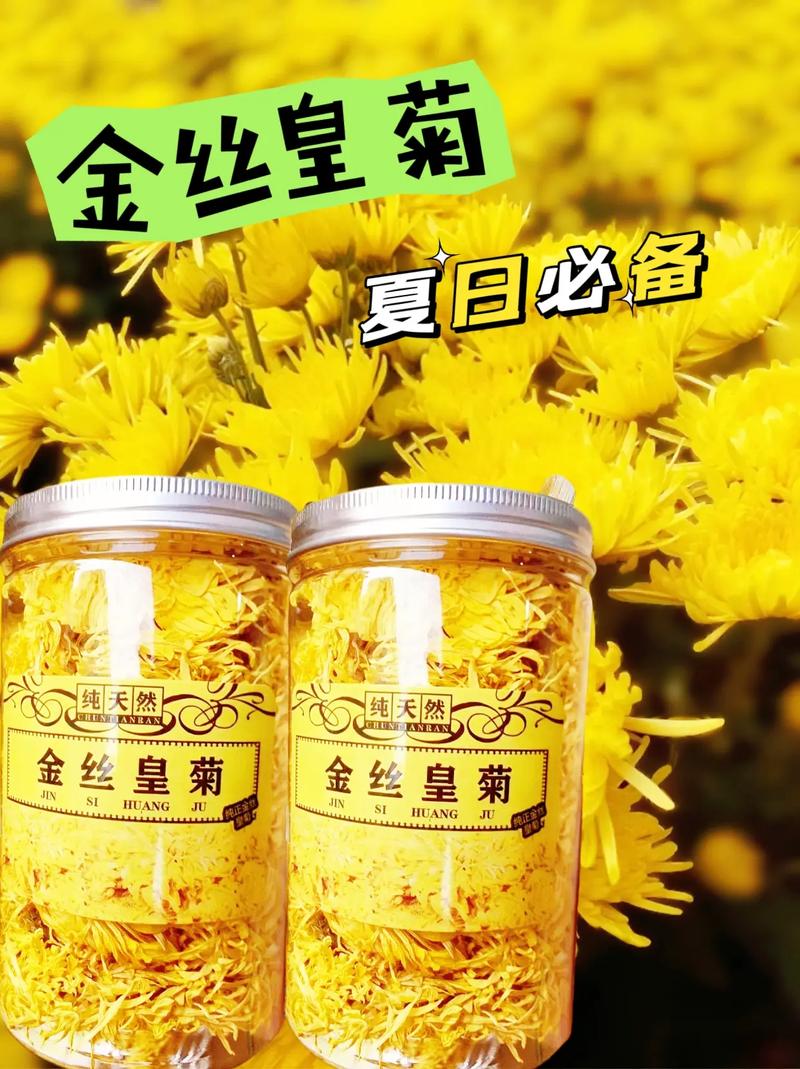 黄金菊如何养，黄金菊怎么养护？-第6张图片-优品飞百科