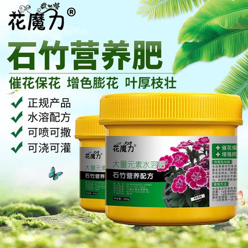 石竹用什么肥料,石竹用什么土-第3张图片-优品飞百科 石竹用什么肥料,石竹用什么土-第3张图片-优品飞百科