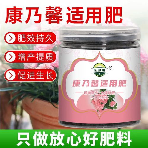 石竹用什么肥料,石竹用什么土-第5张图片-优品飞百科 石竹用什么肥料,石竹用什么土-第5张图片-优品飞百科