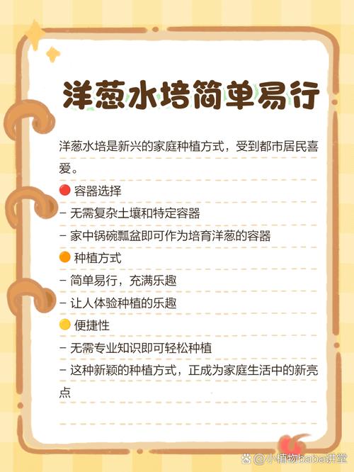 水培洋葱的方法？水培洋葱的方法图片？-第2张图片-优品飞百科