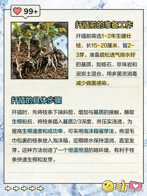 无花果什么季节扦插比较好？无花果什么季节适合扦插？-第3张图片-优品飞百科