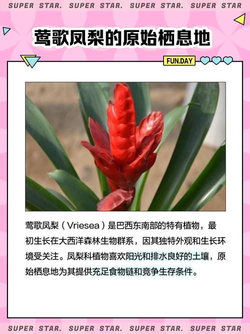 莺哥凤梨怎么养？莺哥凤梨怎么养才好？-第3张图片-优品飞百科