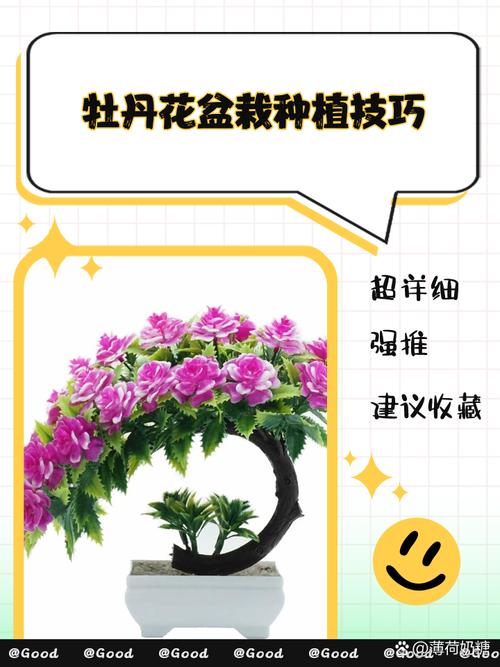 牡丹花移栽方法，牡丹花移栽盆栽五要素-第2张图片-优品飞百科