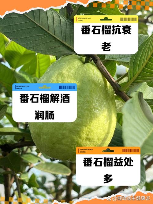 番石榴播种时间和方法，番石榴的种植技术及管理？-第6张图片-优品飞百科