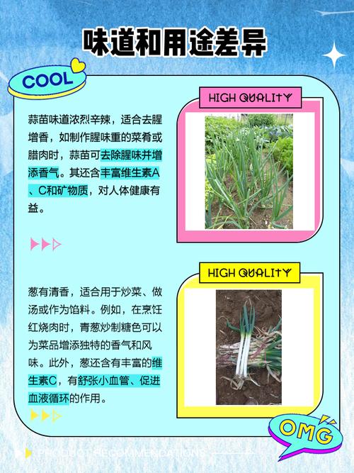 大蒜葱叶丢盆里？葱蒜叶子发黄打什么药好？