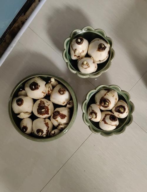 水仙开花前怎么养护？水仙开花前兆？-第4张图片-优品飞百科