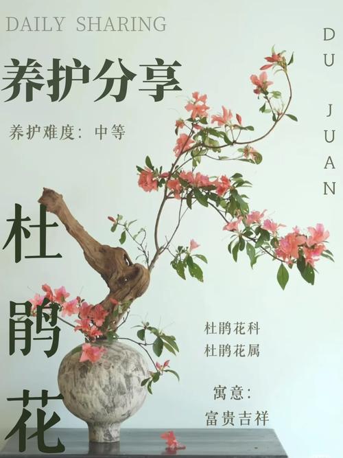 杜鹃花冬天怎么养，杜鹃花冬天怎么养护和管理？-第4张图片-优品飞百科
