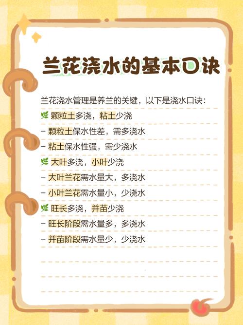 兰花浇水口诀，兰花浇水口诀一七三六？-第3张图片-优品飞百科