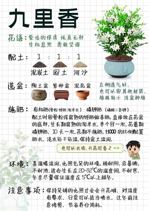 九里香树干怎么长粗，九里香树枝干枯-第2张图片-优品飞百科