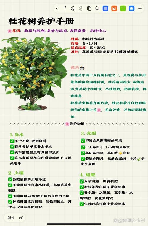 北方桂花可以种在户外吗？北方可以种桂花盆栽吗？-第7张图片-优品飞百科