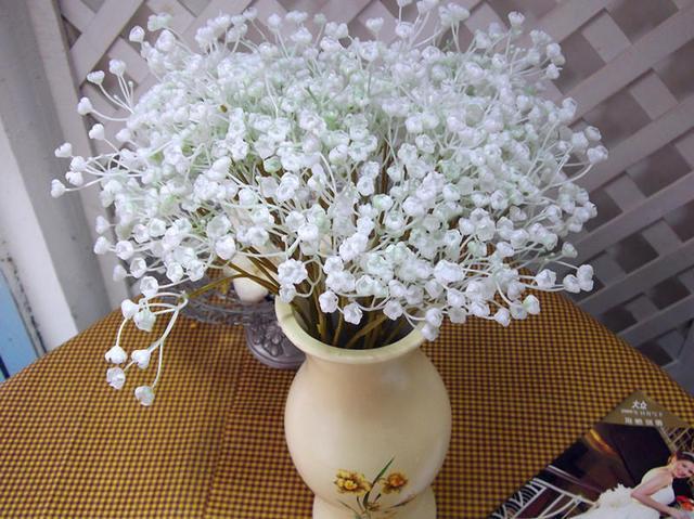 满天星可以水养吗，满天星可以水养么？-第3张图片-优品飞百科