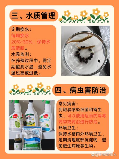 大漂属的养殖方法，大漂怎么养？-第2张图片-优品飞百科