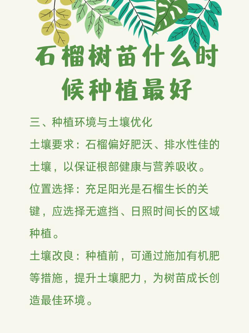 石榴怎么种植,石榴怎么种植教程?-第4张图片-优品飞百科 石榴怎么种植,石榴怎么种植教程?-第4张图片-优品飞百科