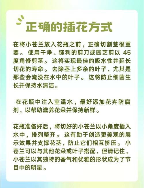 小苍兰什么季节种，小苍兰几月份栽种