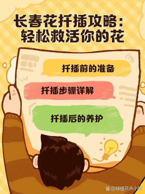 长春花的扦插繁殖方法，长春花如何扦插繁殖-第3张图片-优品飞百科