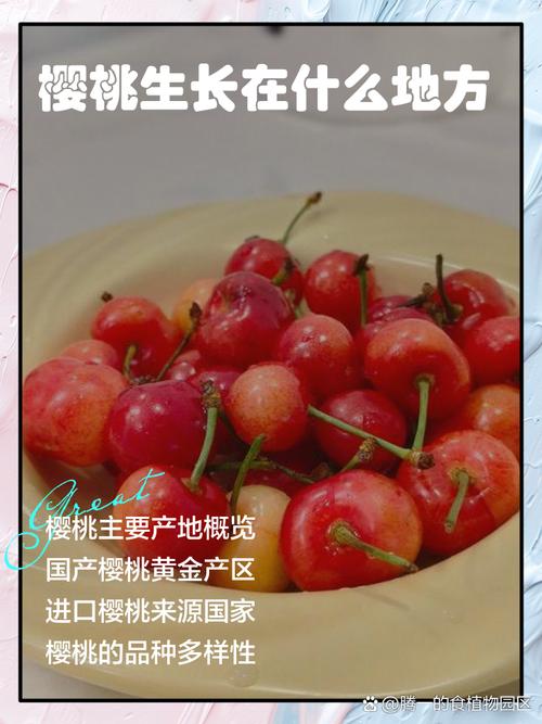 樱桃栽培种植方法，樱桃栽培种植方法视频？