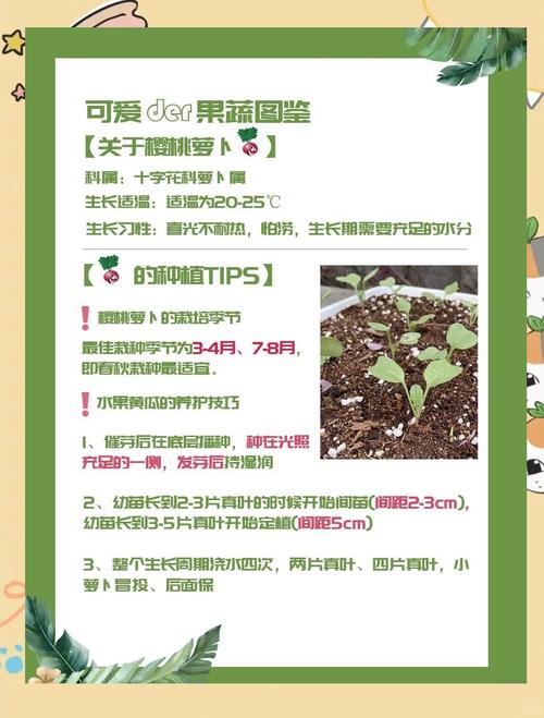 樱桃栽培种植方法,樱桃栽培种植方法视频?-第3张图片-优品飞百科 樱桃栽培种植方法,樱桃栽培种植方法视频?-第3张图片-优品飞百科