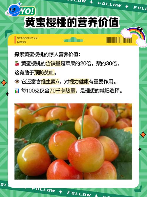 樱桃栽培种植方法,樱桃栽培种植方法视频?-第4张图片-优品飞百科 樱桃栽培种植方法,樱桃栽培种植方法视频?-第4张图片-优品飞百科