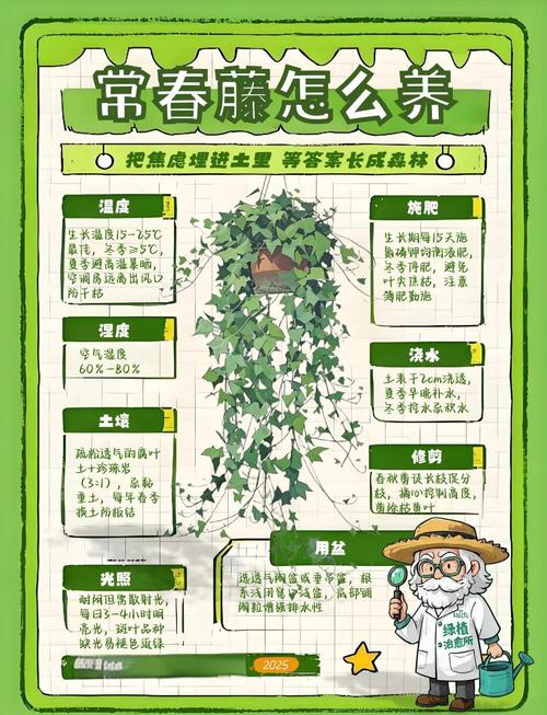 常春藤对水分的要求？常春藤 水养？-第4张图片-优品飞百科