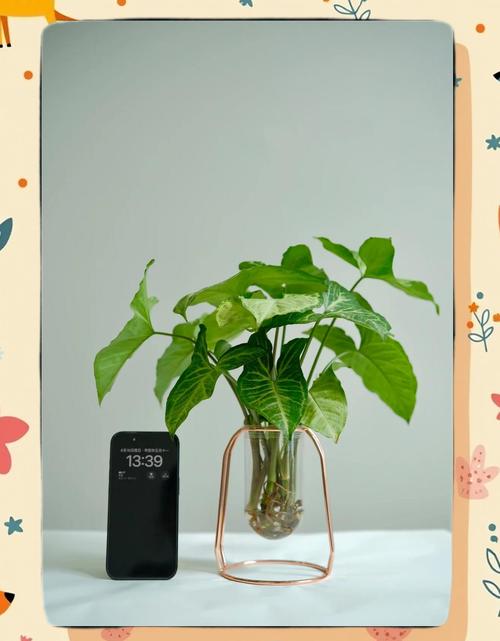 合果芋怎么繁殖？合果芋扦插注意事项？-第4张图片-优品飞百科