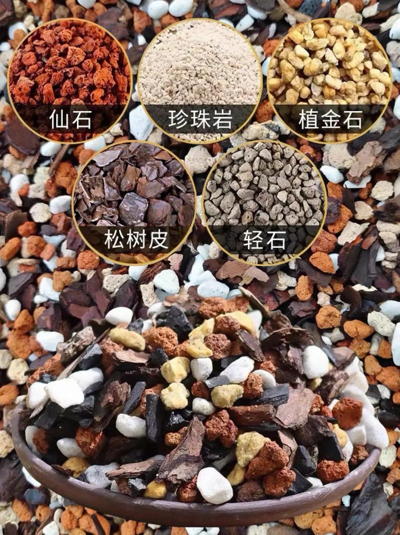 全部用颗粒土养兰花好吗，纯颗粒土养兰花多久浇水-第3张图片-优品飞百科