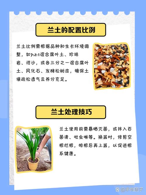 全部用颗粒土养兰花好吗，纯颗粒土养兰花多久浇水-第5张图片-优品飞百科