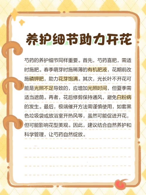 芍药换盆后不开花了，芍药换盆后不开花了什么原因-第7张图片-优品飞百科