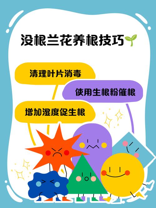 兰花引种苗弱怎么办，兰花引种苗会不会开花？-第8张图片-优品飞百科