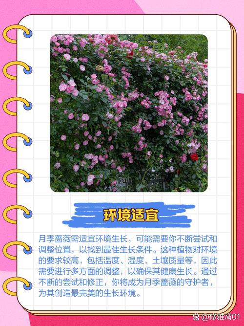 粉团蔷薇如何施肥，粉团蔷薇如何施肥比较好-第4张图片-优品飞百科