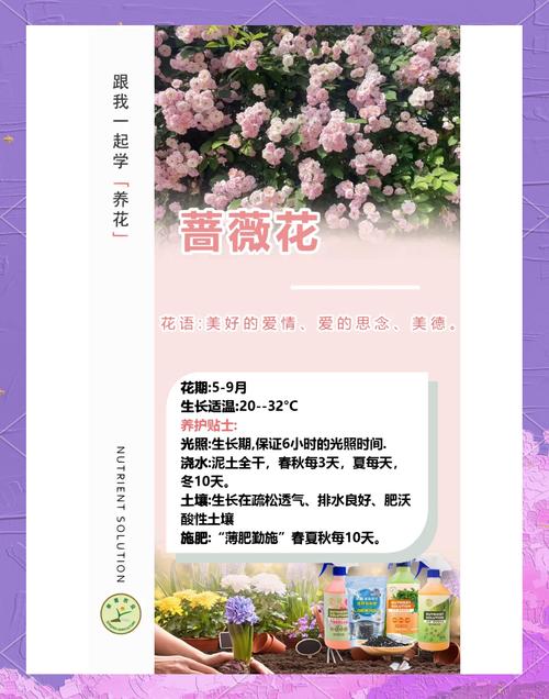 粉团蔷薇如何施肥，粉团蔷薇如何施肥比较好-第7张图片-优品飞百科