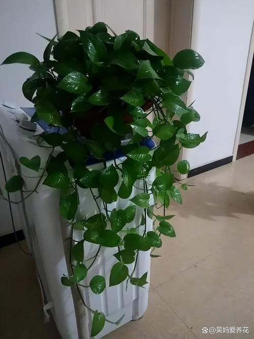 她只用3根木棍，三根木棒还是四根木棒-第3张图片-优品飞百科