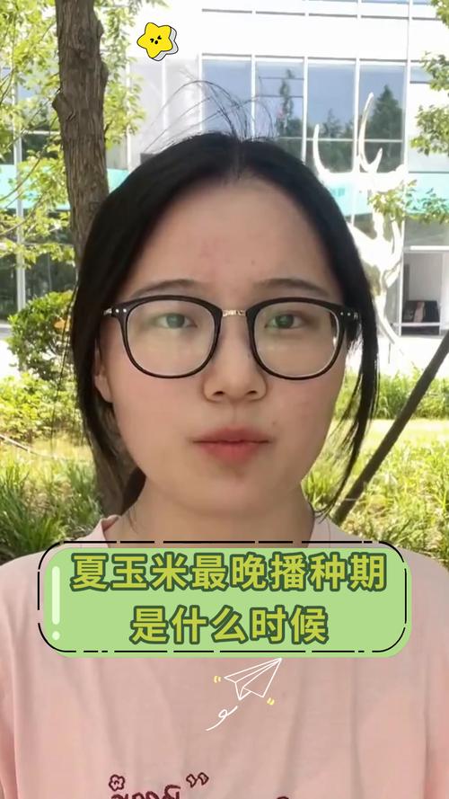 玉米什么时候种，2025年玉米什么时候种？-第2张图片-优品飞百科