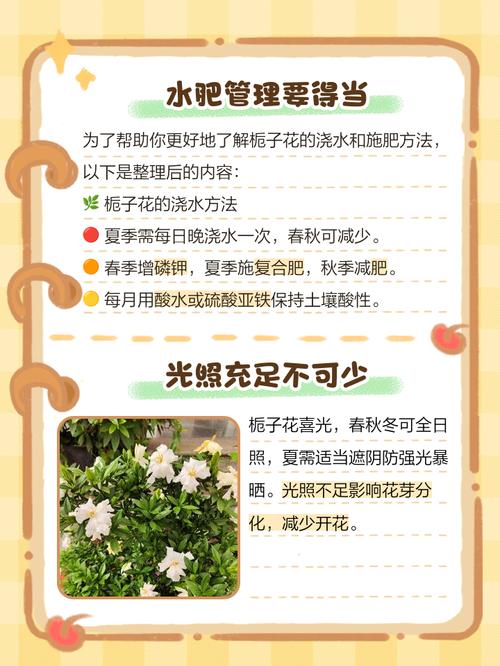 如何让栀子花开花，如何让栀子花开花爆满-第5张图片-优品飞百科