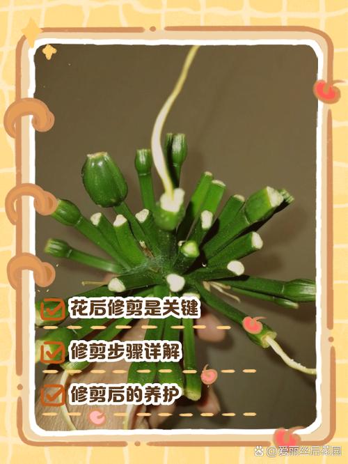 包含君子兰用这“2种”水浇的词条-第2张图片-优品飞百科 包含君子兰用这“2种”水浇的词条-第2张图片-优品飞百科