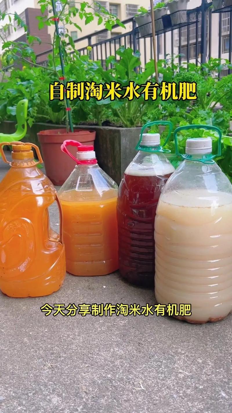 包含君子兰用这“2种”水浇的词条-第8张图片-优品飞百科 包含君子兰用这“2种”水浇的词条-第8张图片-优品飞百科