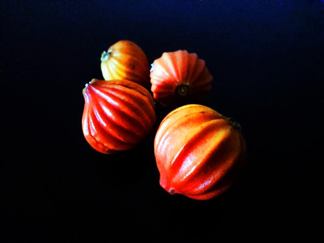 艳山姜种子怎么种？艳山姜的药用部位？-第2张图片-优品飞百科