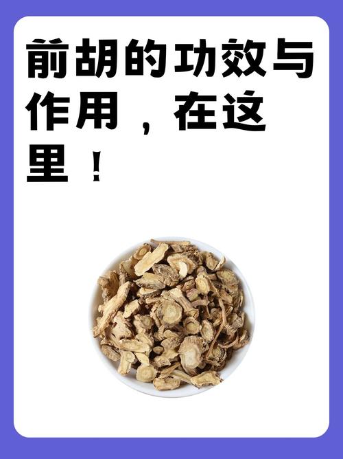 白花前胡和毛前胡的区别？白花前胡和前胡有什么区别？-第4张图片-优品飞百科